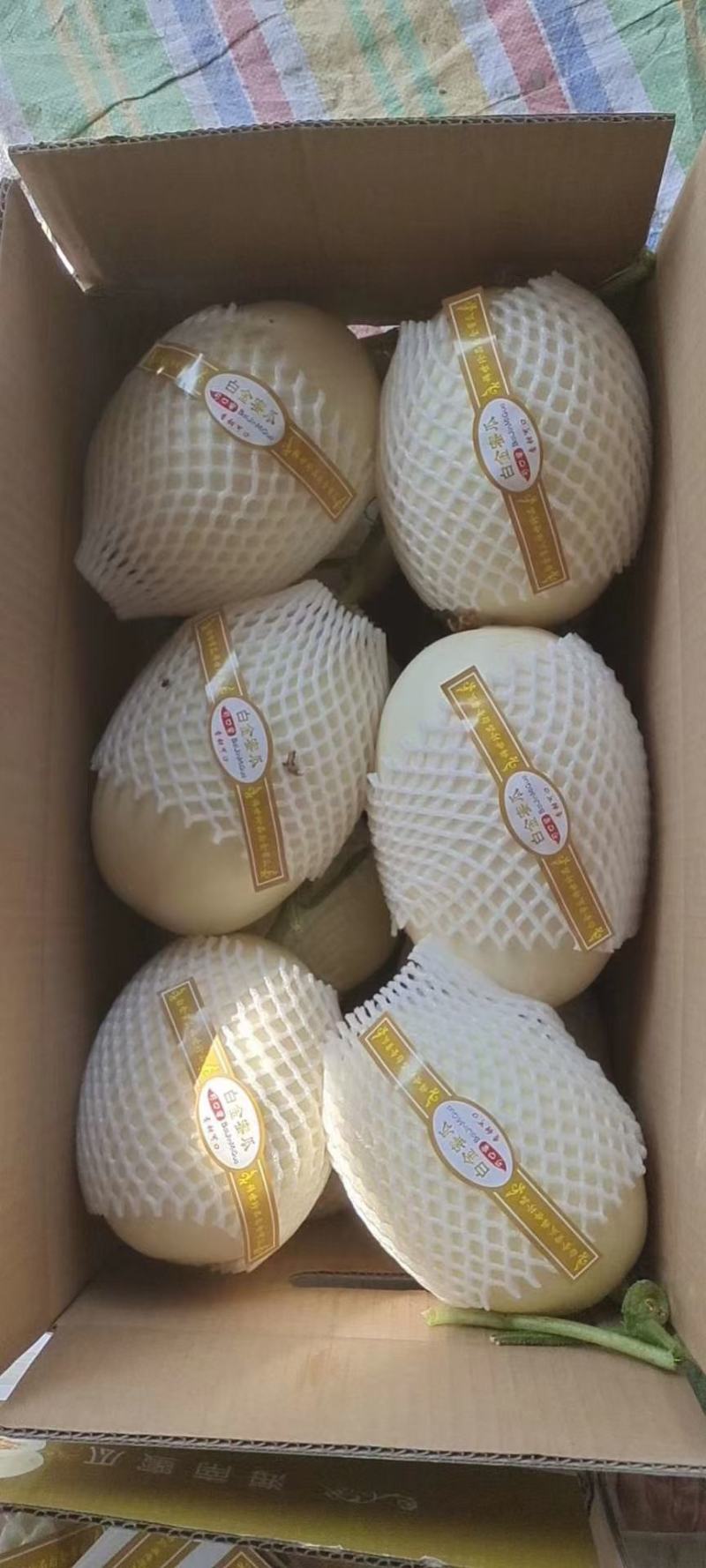 红金蜜香甜可口，产地一货源，价格美丽！！！！！！！
