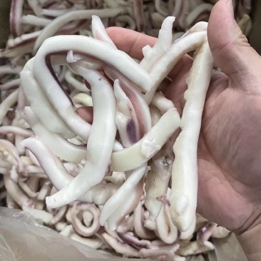 鱿鱼条，鱿鱼残条，鱿鱼圈