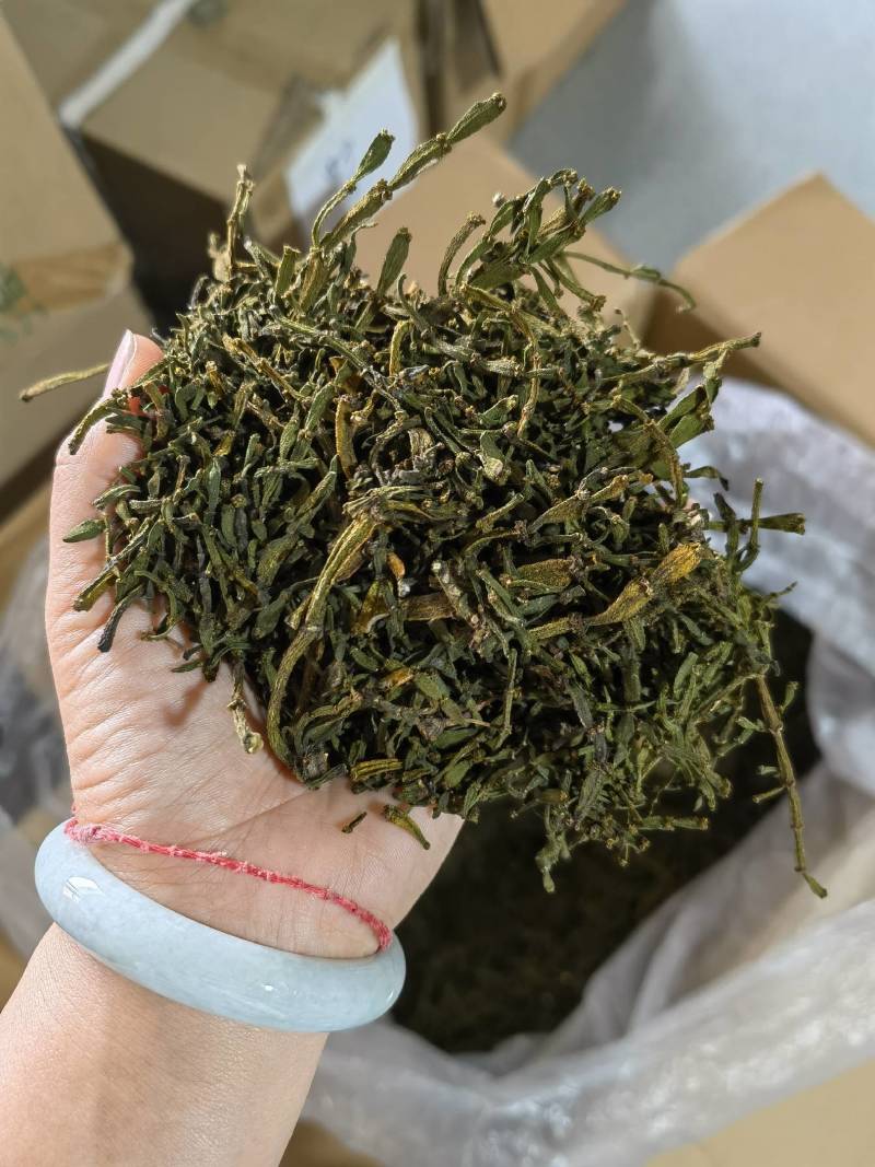 螃蟹脚我云南普洱茶树寄生草螃蟹脚寄生类云南普洱茶