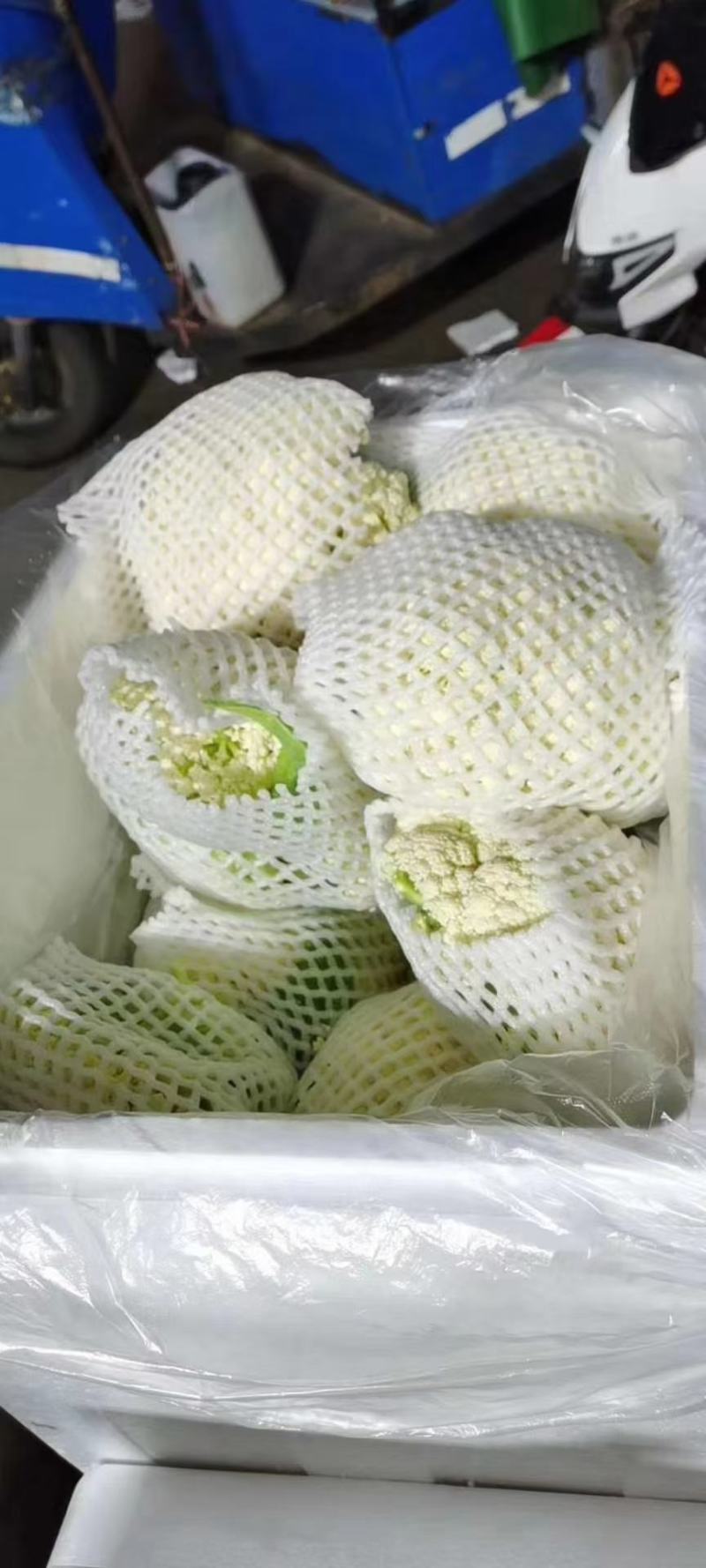 蔬菜