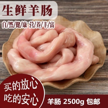 新鲜羊肥肠(5斤顺丰包邮)肥肠大肠冷冻生羊肠羊肥油肠羊肠