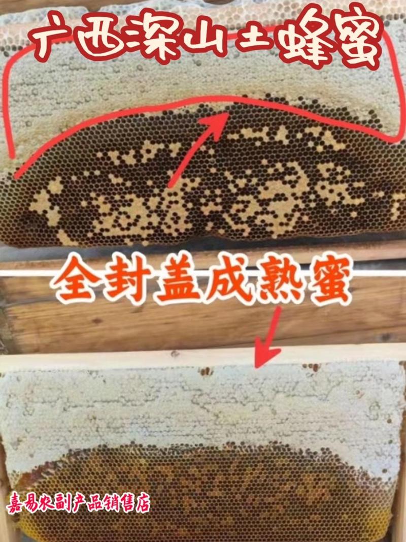 【优质】广西中蜂土蜂蜜蜂蜜荔枝蜜蜂场直供自产自销