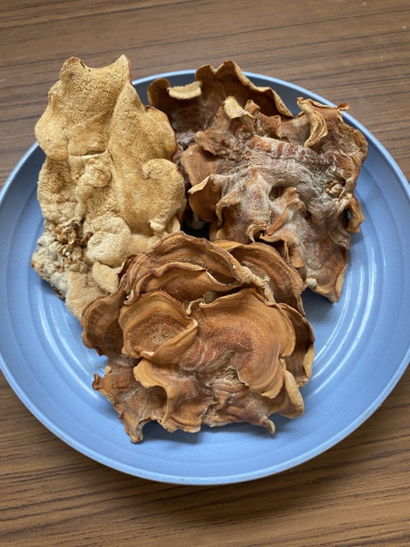 榆耳菌干货素食榆耳菇榆蘑菇榆树菇五斤包邮灵芝菇