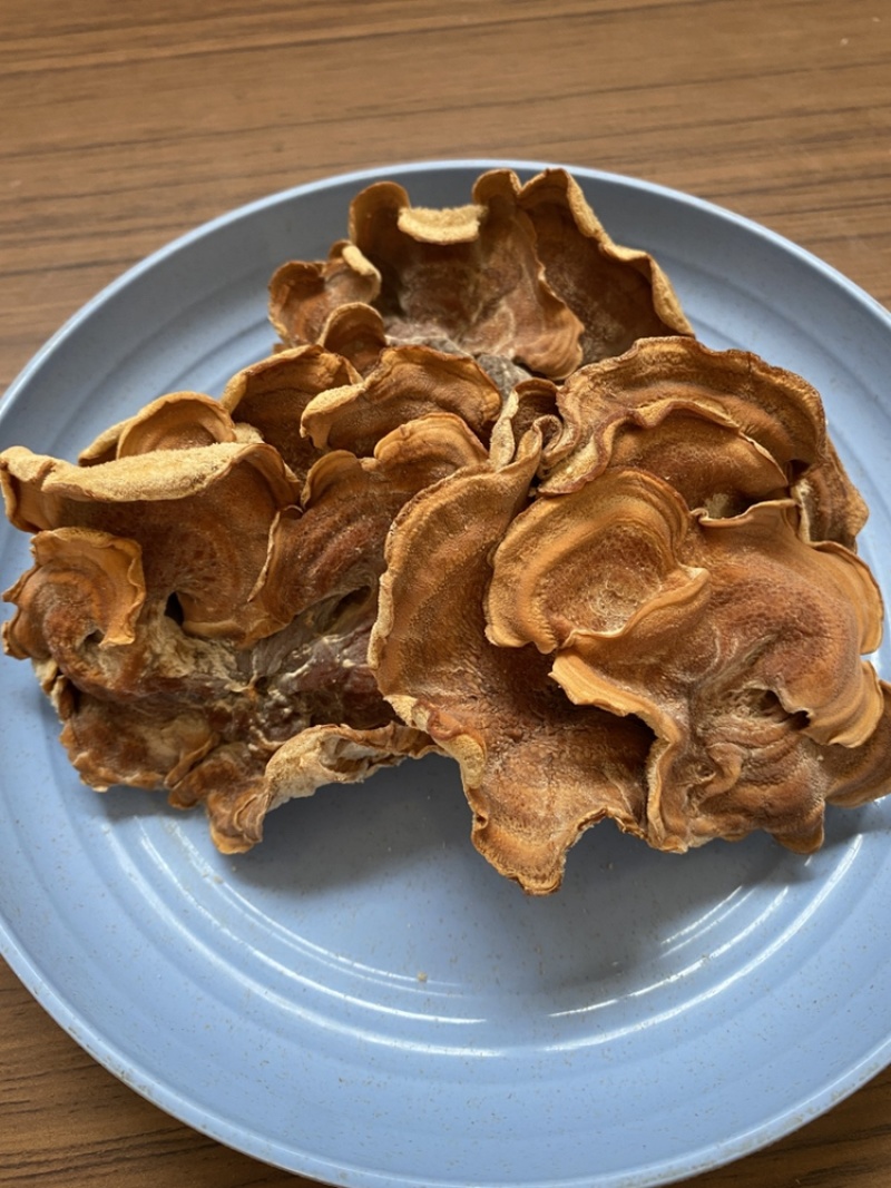 榆耳菌干货素食榆耳菇榆蘑菇榆树菇五斤包邮灵芝菇