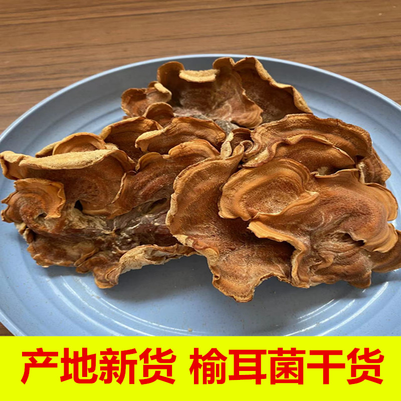 榆耳菌干货素食榆耳菇榆蘑菇榆树菇五斤包邮灵芝菇