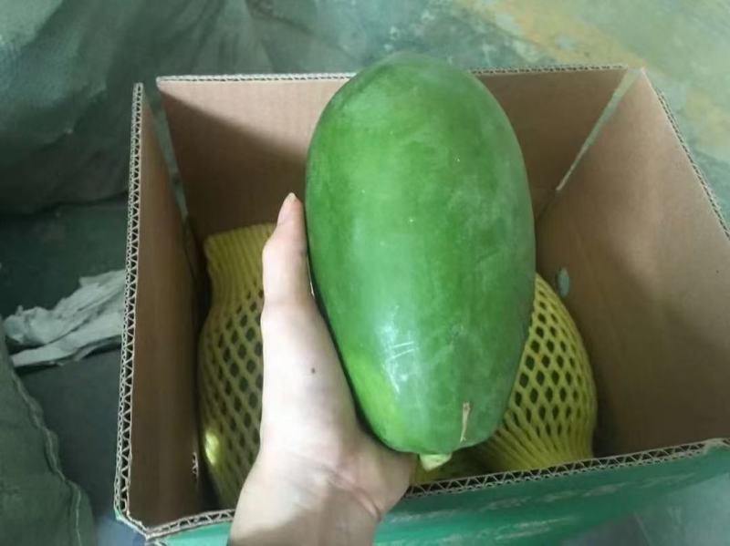 红心水果木瓜一件代发批发价