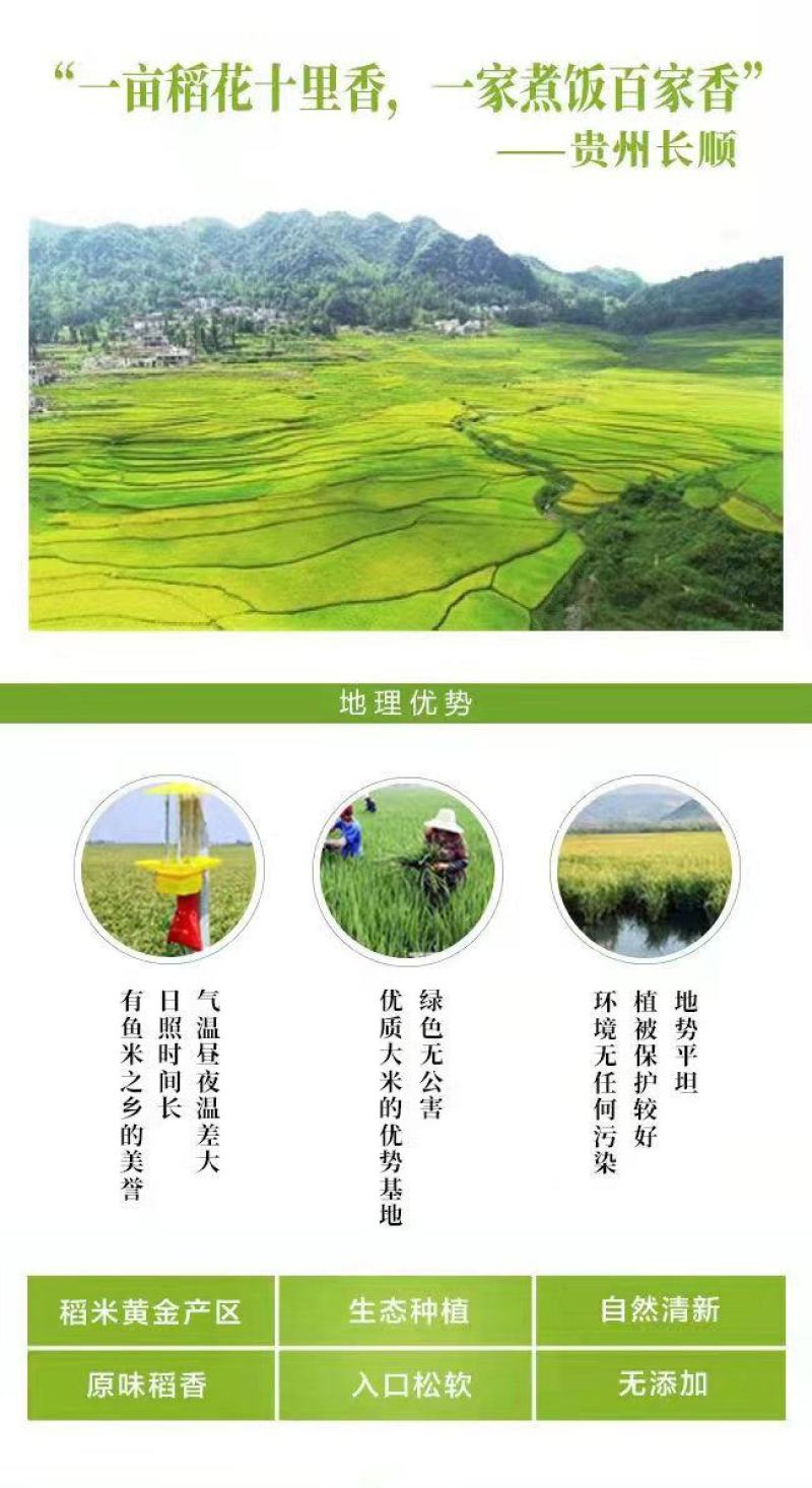 多彩贵州特产(陈爱民)高峰十里香大米长籼米