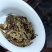 古茶帮普洱茶原味生普洱茶迷你小沱茶原香生茶龙马古茶帮普洱