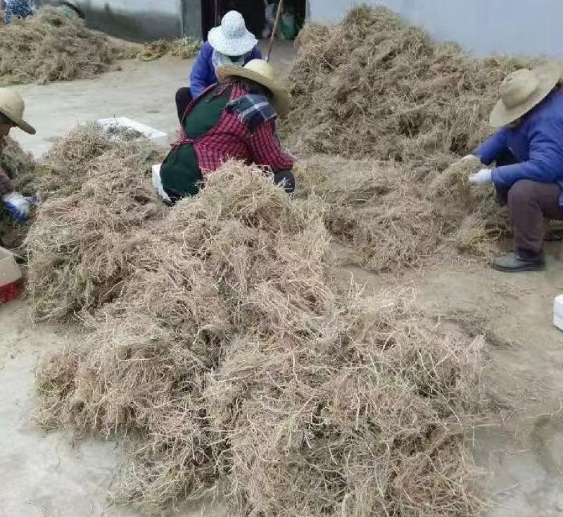 白前统装500g产地甘肃振兴药材购销站量大从优
