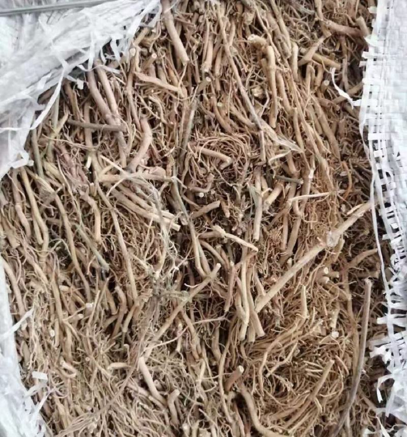 白前统装500g产地甘肃振兴药材购销站量大从优