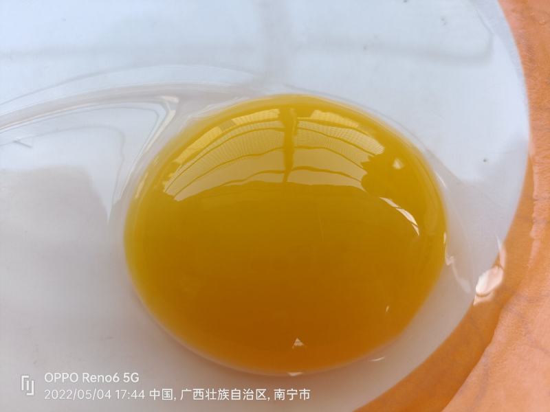 鲜鸭蛋