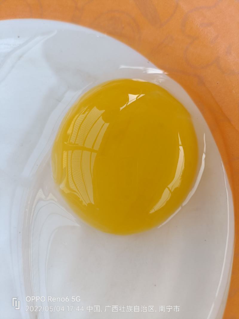 鲜鸭蛋