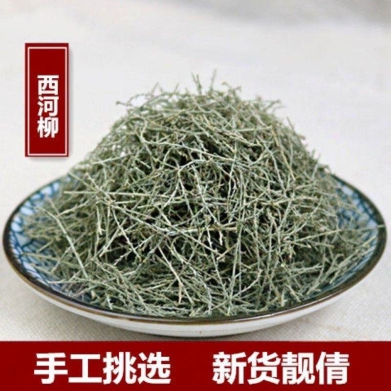 西河柳中药材山川柳三春柳西湖柳观音柳