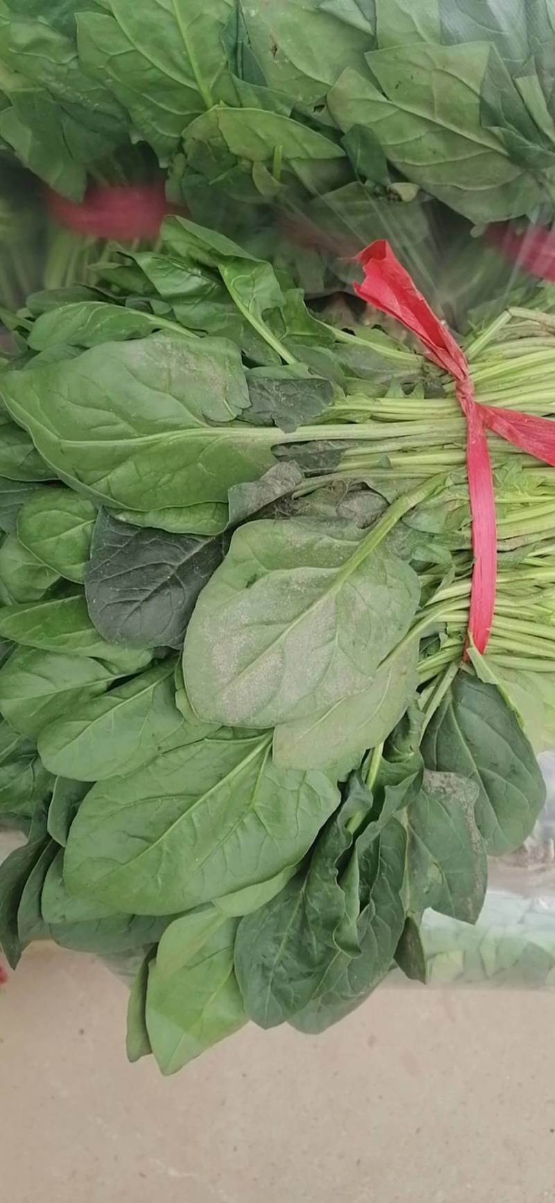 精品菠菜