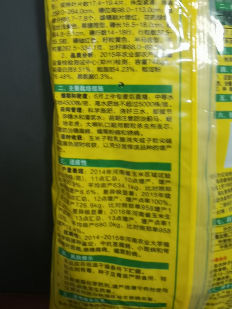 高产玉米种LA505矮杆苞谷种抗病抗灾抗倒大棒轴细抗虫