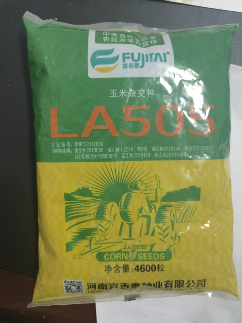 高产玉米种LA505矮杆苞谷种抗病抗灾抗倒大棒轴细抗虫