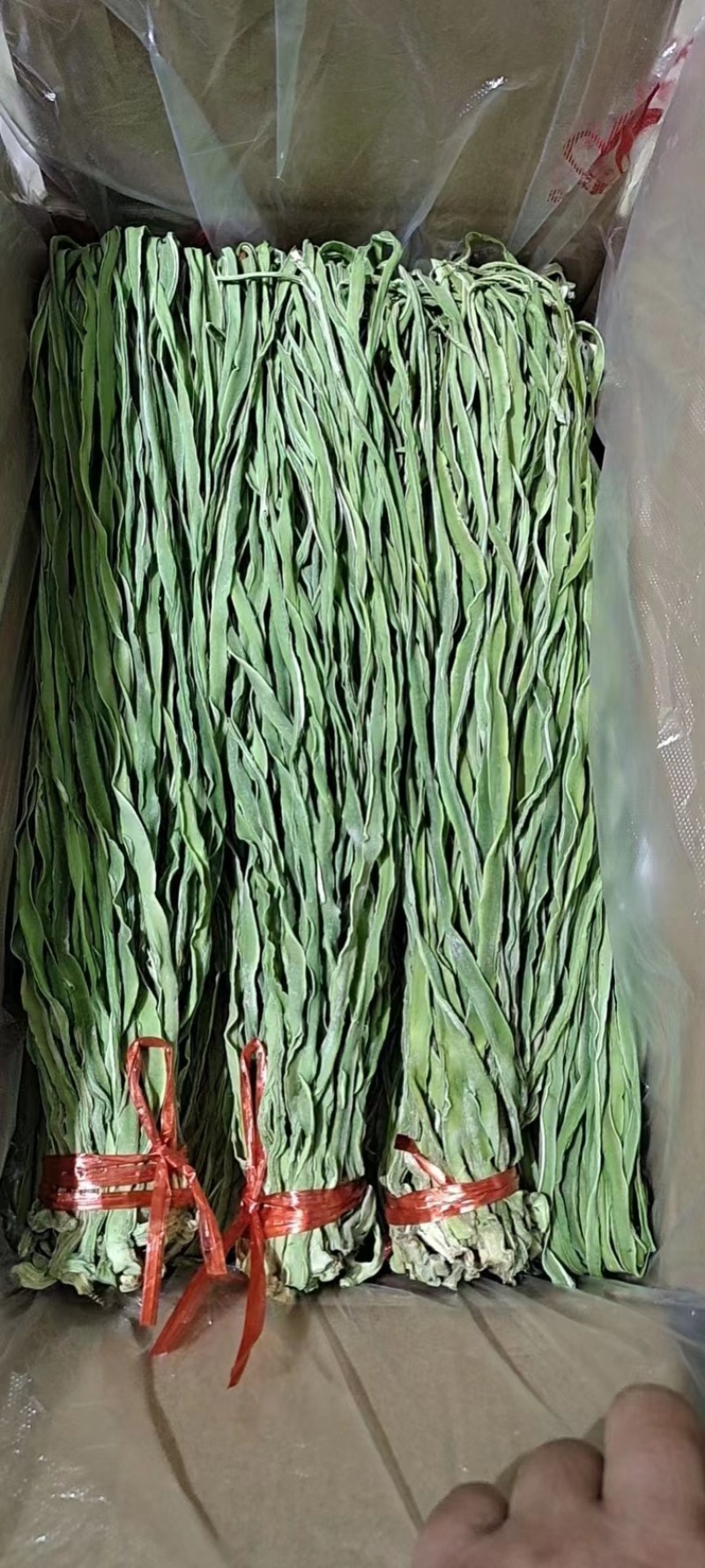 贡菜