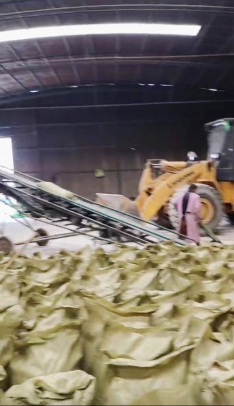 玉米油渣，便宜饲料原料，载体，填充。水分20左右