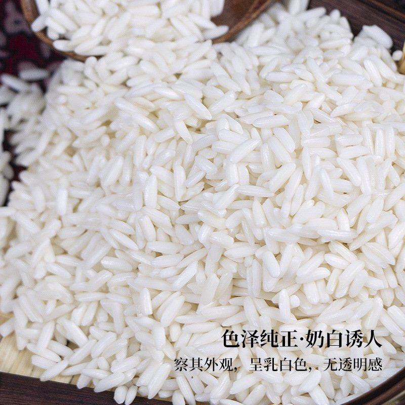 泰国糯米江米25kg长粒大米粽子饭团用米源直发