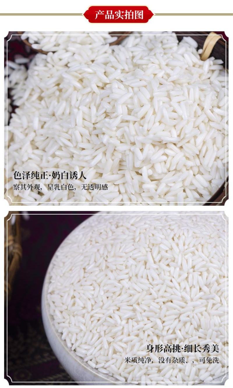 泰国糯米江米25kg长粒大米粽子饭团用米源直发