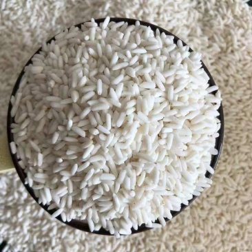 大量批发圆糯米酿酒原料长粒江米粽子糯米八宝粥原料