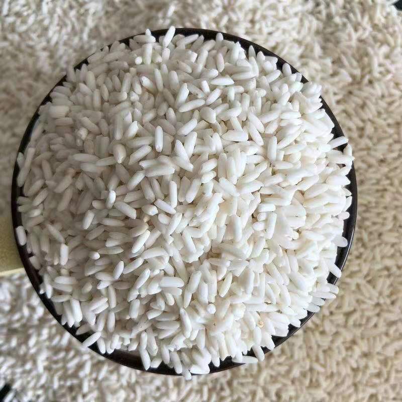 大量批发圆糯米酿酒原料长粒江米粽子糯米八宝粥原料