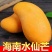 广西金煌忙热带水果抖音/快手/电商平台一件代发