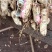 新鲜红米花生、白米花生