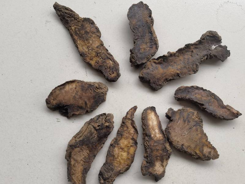 生地片生地黄精选片关书药业批发各种规格中药材
