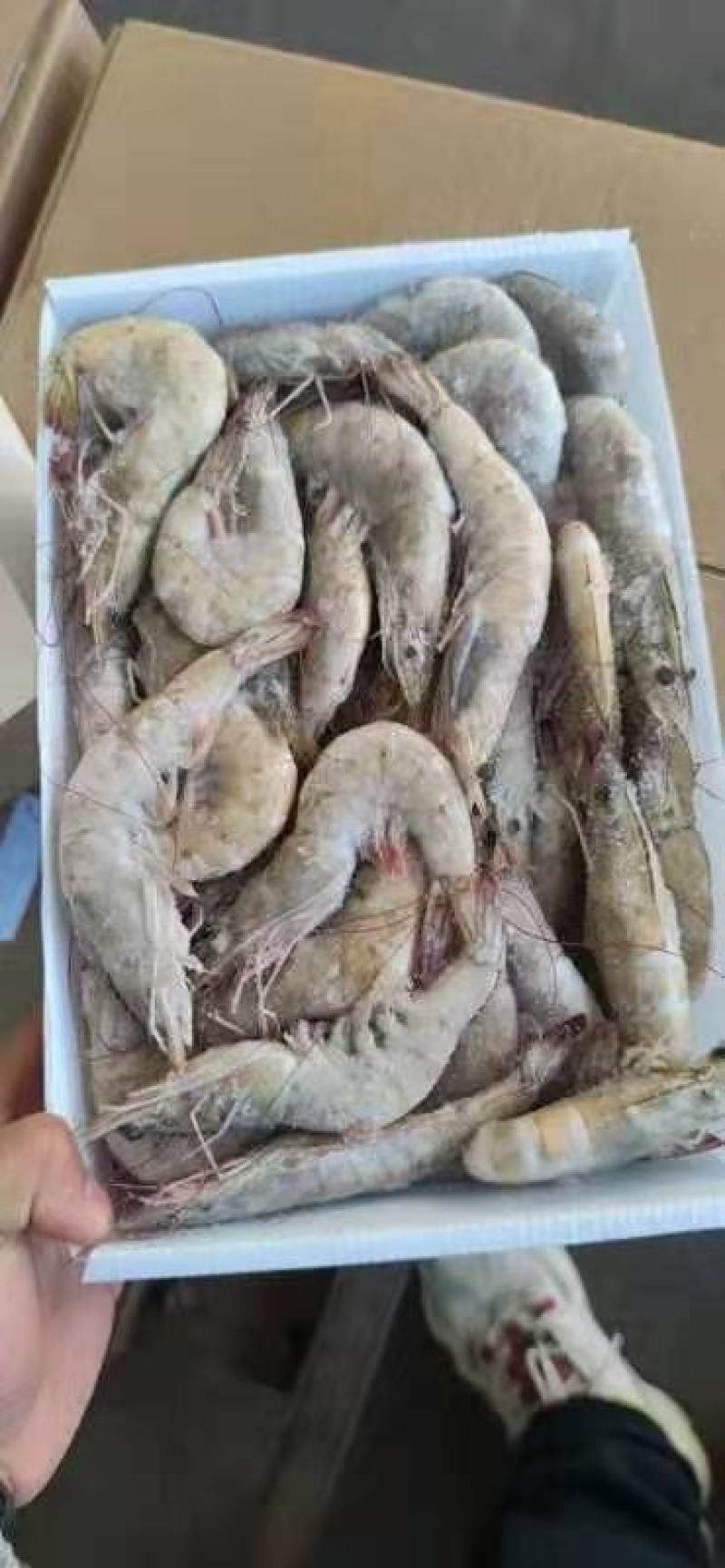 水产肉类冷冻产品