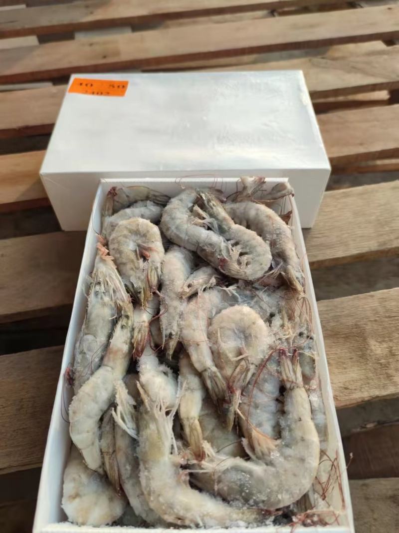 水产肉类冷冻产品