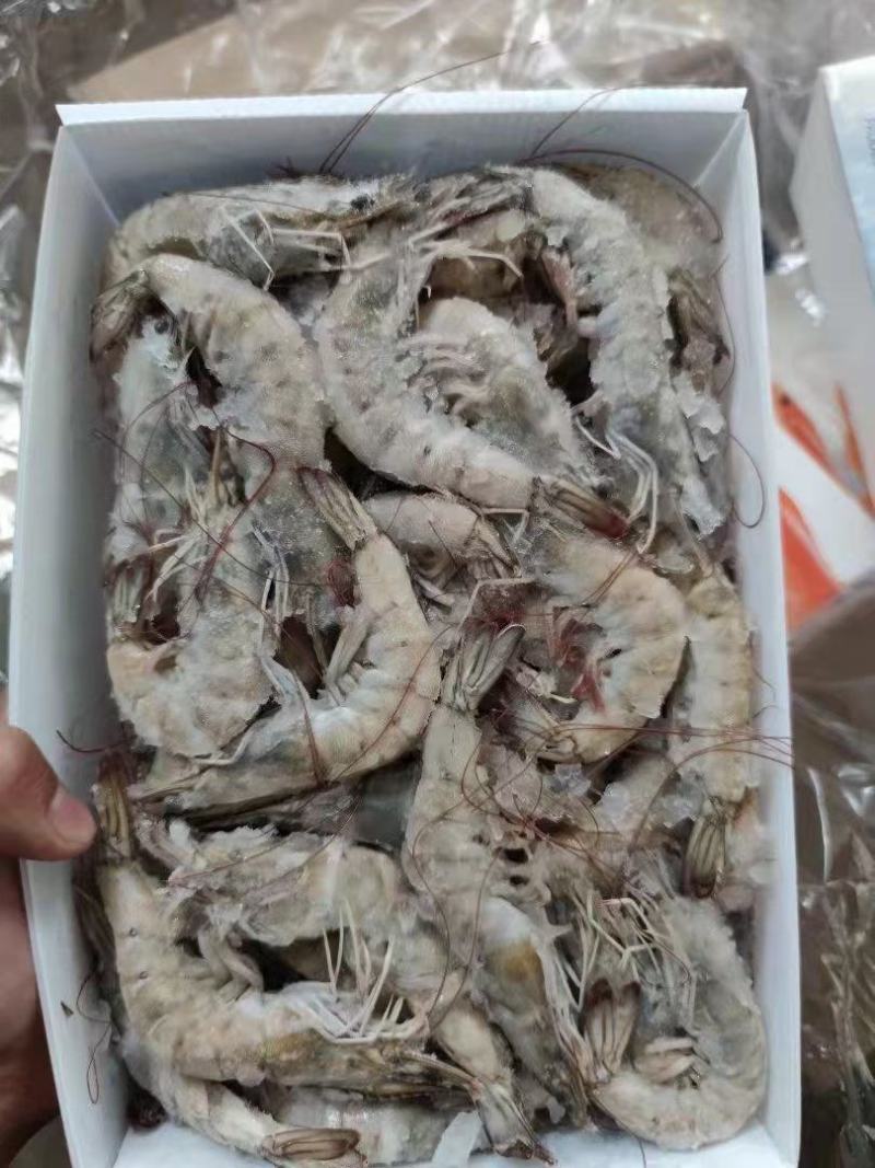 水产肉类冷冻产品
