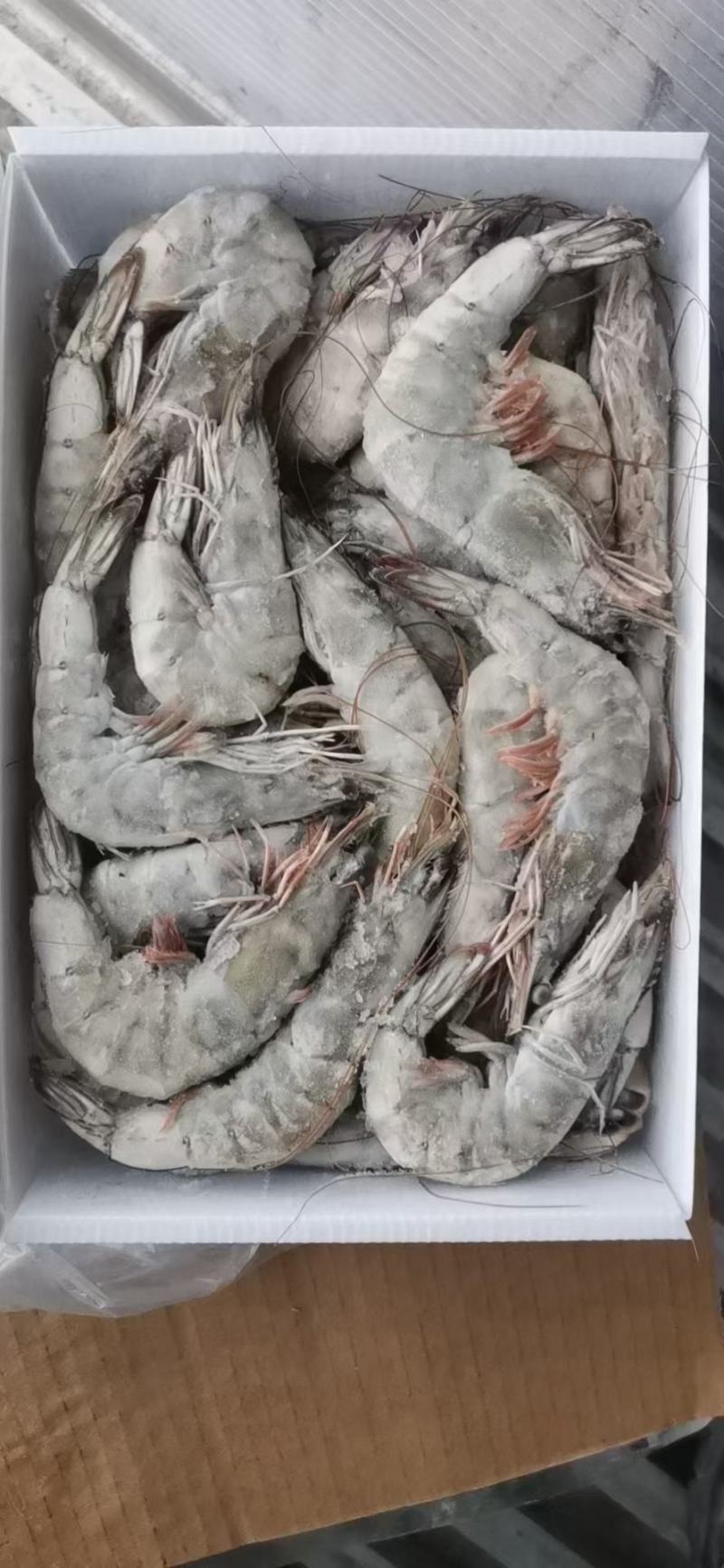 水产肉类冷冻产品