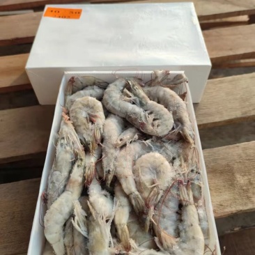 水产肉类冷冻产品