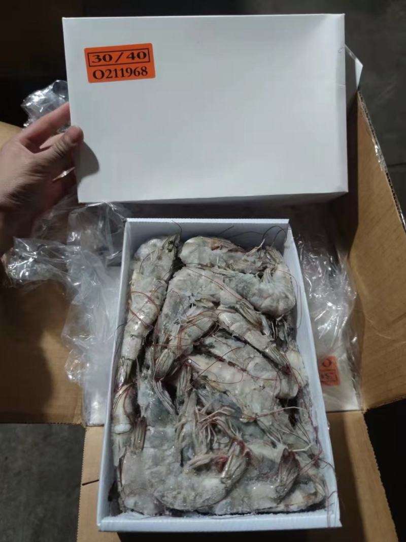 水产肉类冷冻产品