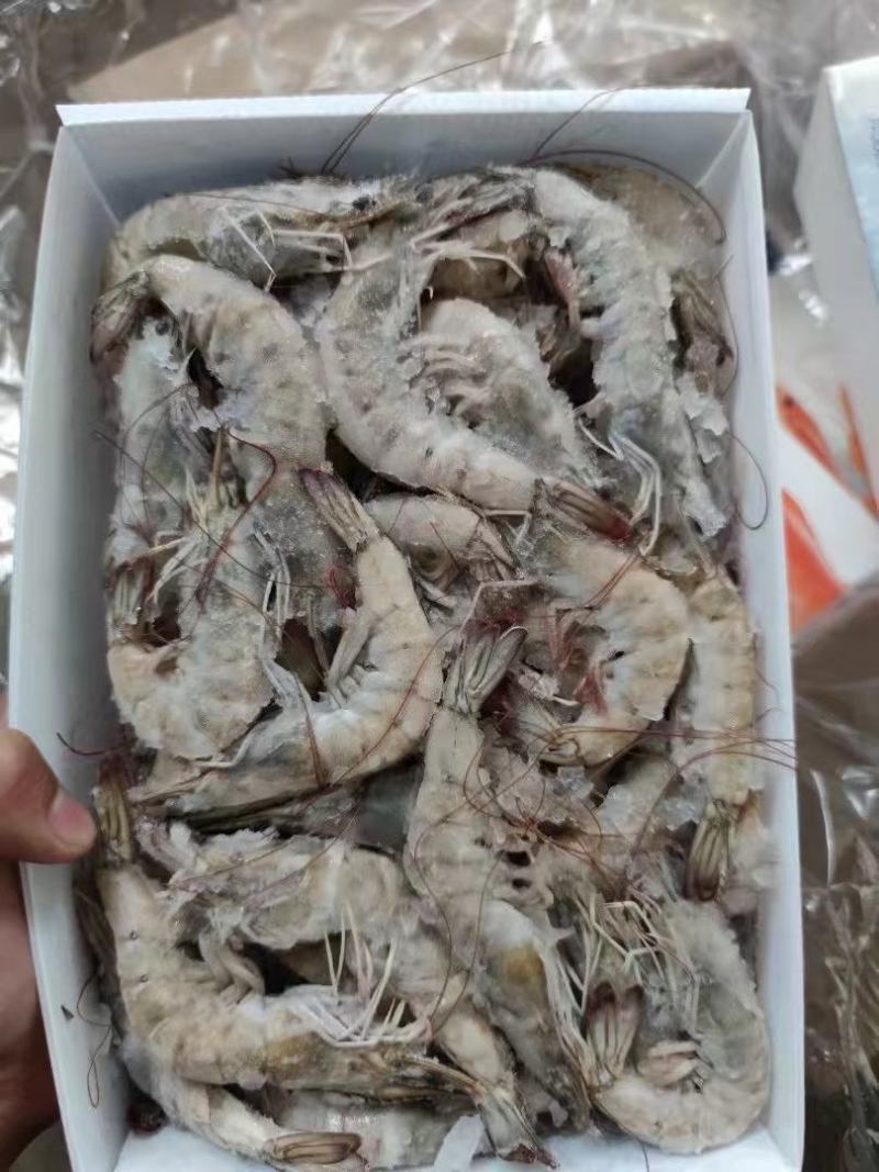 水产肉类冷冻产品