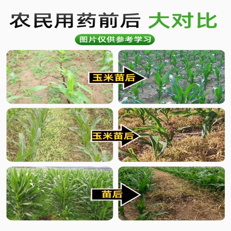 36%硝烟莠去津玉米田苗后除草剂封杀双效禾阔双除