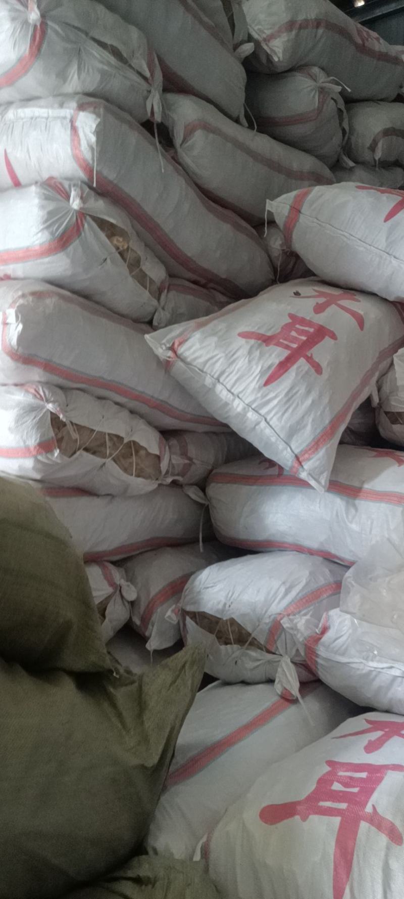 白木耳，大白木耳竹耳竹肚菌单片白木耳无根白木耳干货好货