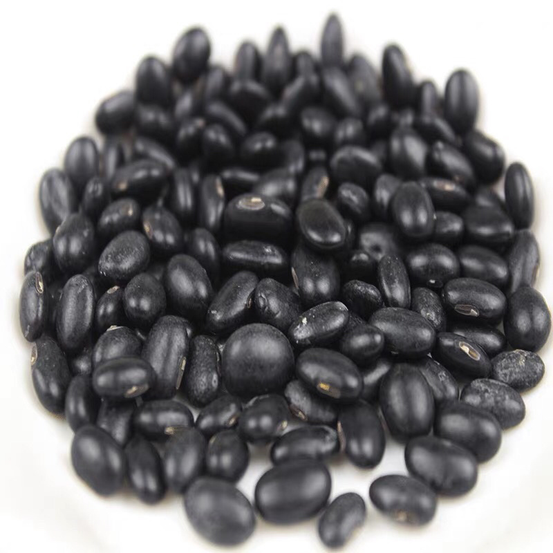 黑豆大量批发当季黑芽豆做豆苗用出芽率98%