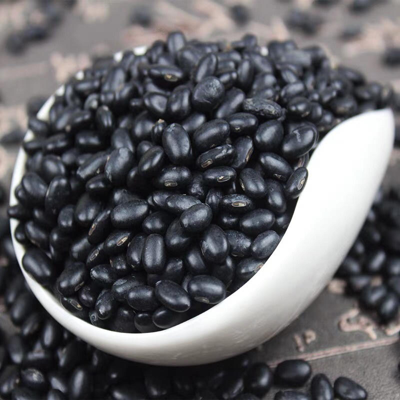 黑豆大量批发当季黑芽豆做豆苗用出芽率98%
