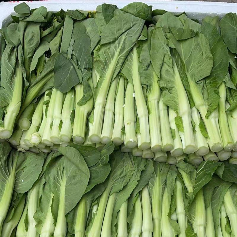 秋香白菜苔