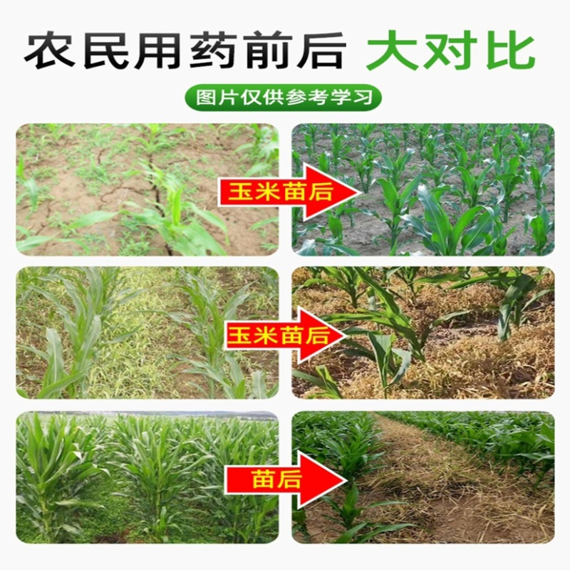 36%硝烟莠去津莠去津玉米田除草剂苗后禾阔双杀除草