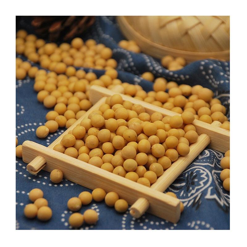 黄豆芽豆发豆芽专用芽黄豆发芽率98%袋装79斤