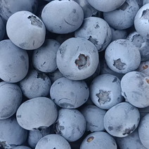 出售蓝莓奥尼尔博物L绿宝石来客西等品种