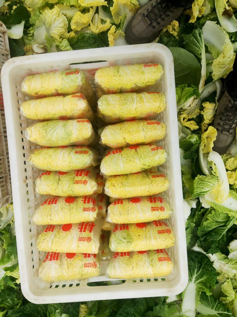 提供毛菜娃娃菜，大娃，小娃，各种精品包装