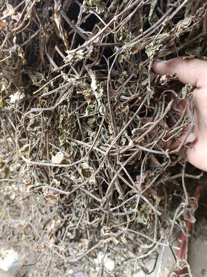 三叶青藤干货金线吊葫芦藤干货一手货源无任何添加剂