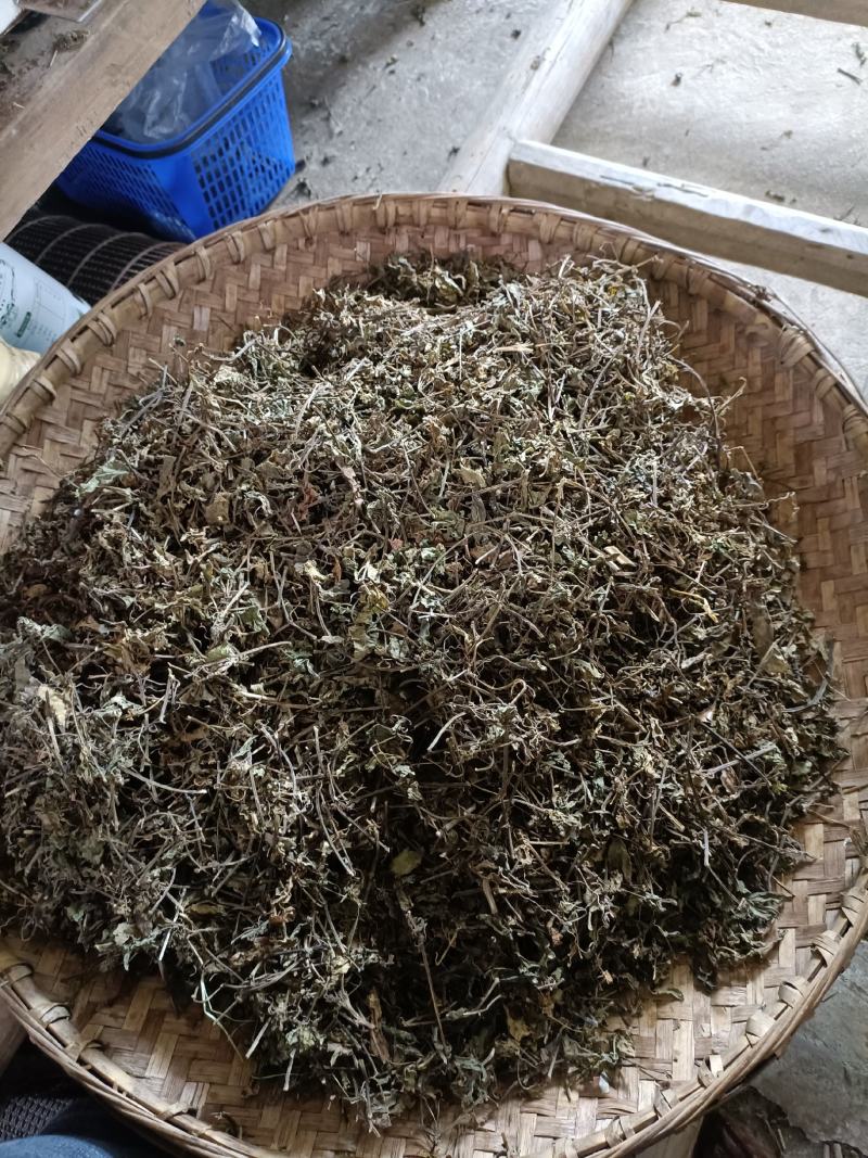 三叶青藤干货金线吊葫芦藤干货一手货源无任何添加剂
