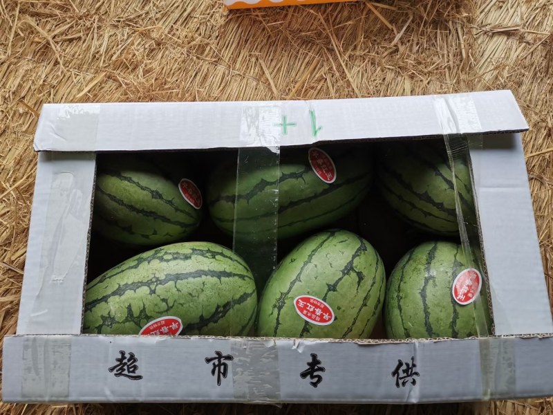 美都，8424，早春红玉，甘美皇，大量成熟