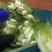 白菜，大白菜，长白菜黄心白菜4~6斤净菜