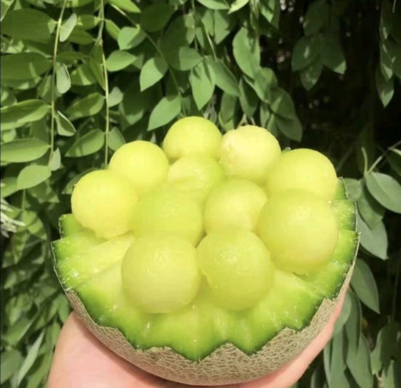 精品网纹密瓜玫珑鲁厚甜大量上市软糯香甜一手货源